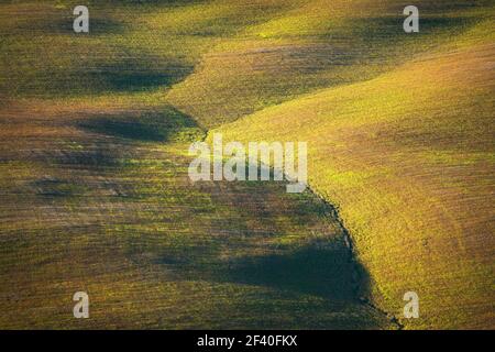 Toskana abstrakte Landschaft, sanfte Hügel und grüne Felder am Morgen. Siena, Italien, Europa Stockfoto