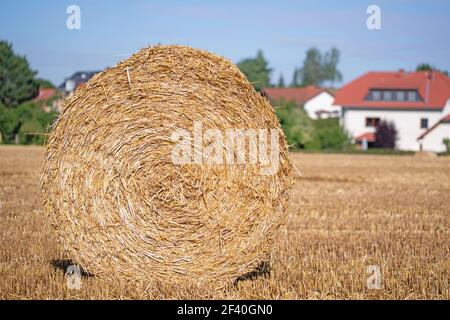 Rundballen aus Strohhalm in Nahaufnahme Stockfoto