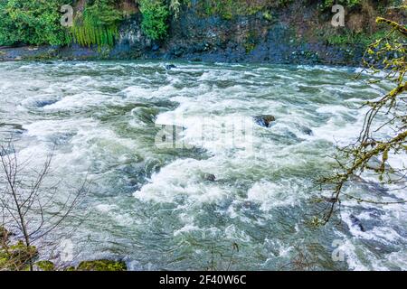 Mitten in Stromschnellen am Snoqualmie River ragt ein Felsen hoch. Stockfoto