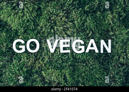 Wort gehen vegan auf Moos, grünes Gras Hintergrund. Draufsicht. Speicherplatz kopieren. Banner. Biophilie-Konzept. Naturkulisse Stockfoto