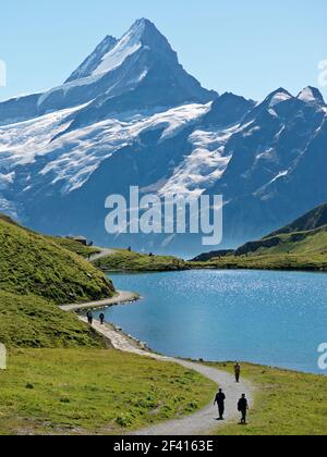 Schweiz, Grindelwald. Blick auf Berge und See, First-Bachalpsee-Faulhorn. Diese Wanderung bietet herrliche Ausblicke auf die Schreckhorngruppe Stockfoto