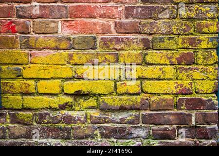 Alte Ziegelwand Textur Hintergrund halb mit Flechten bedeckt, Rahmen für Text. Alte Ziegelwand Textur Hintergrund halb mit Flechten bedeckt Stockfoto