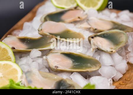 Rohe frische Muschel (Mahas), präsentiert auf einem Holzbrett mit zerkleinerten Eis. Stockfoto