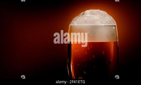 Lagerbier setzt sich im Glas mit einer weißen Schaumkappe ab Stockfoto