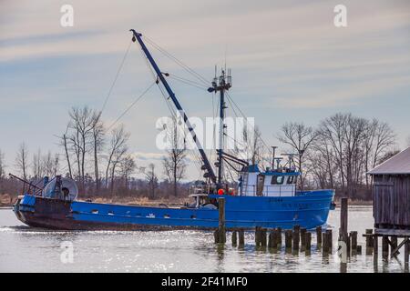 Kommerzielles Fischerboot Sun Maiden, das aus Steveston Harbour fährt In British Columbia, Kanada Stockfoto