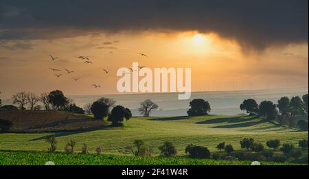 Andalusische ländliche Landschaft mit Pflanzen zwischen Steineichen in einem Sonnenuntergang mit dramatischem Himmel Stockfoto