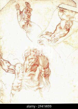 Michelangelo - Studie Adam C 1508 Stockfoto