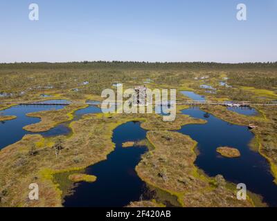 Naturschutzgebiet Endla in Estland Stockfoto