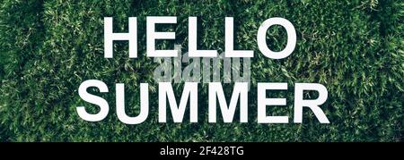 Inschrift Hallo Sommer auf Moos, grünes Gras Hintergrund. Draufsicht. Speicherplatz kopieren. Banner. Biophilie-Konzept. Naturkulisse Stockfoto