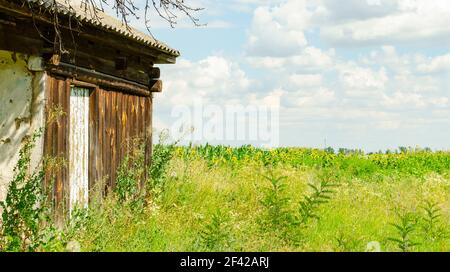 Eine Ecke eines alten Hauses mit Blick auf ein überwuchertes verlassene Feld. Sommerlandschaft. Traditionelle Hütte aus Holz und Ton. Türpfosten. Rustikale Villa Stockfoto