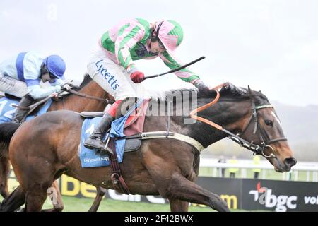 CHELTENHAM 2008 1st TAG. 11/3/2008. DIE SCHLUMFIT KAPPA CHAMPION HÜRDE. ROBERT THORNTON ÜBER KATCHIT NACH DEM LETZTEN. BILD DAVID ASHDOWN Stockfoto