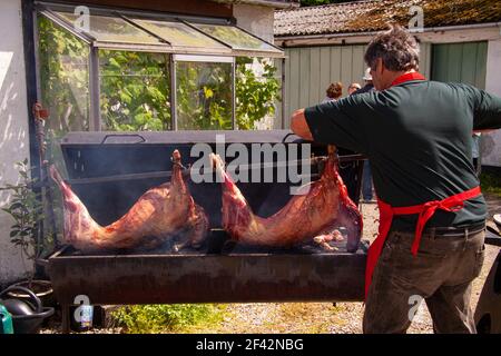 Mann mit roter Schürze rösten zwei ganze Schweine langsam auf Ein Grill Stockfoto