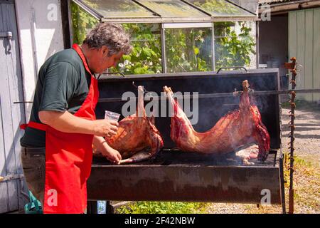 Mann mit roter Schürze rösten zwei ganze Schweine langsam auf Ein Grill Stockfoto