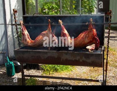Zwei ganze Schweine rösten langsam auf einem Grill. Stockfoto