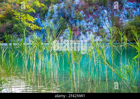 Erstaunliche Herbstlandschaft im Naturpark Plitvice Jezera, Kroatien Stockfoto