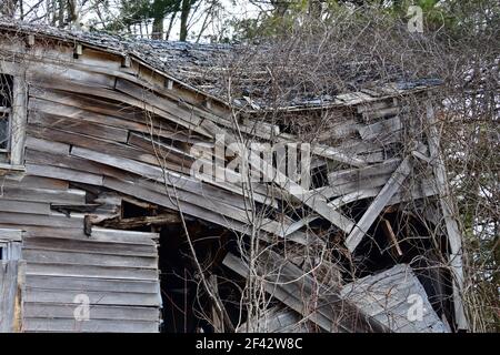 Ein rustikales altes Haus fällt in Stücke in den Wald mit gut verwittertem Holz und viel Textur und Winkel. Stockfoto