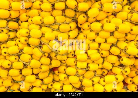 Fischernetze und gelbe Pilze sind aufgereiht und an Seilen verbunden Stockfoto