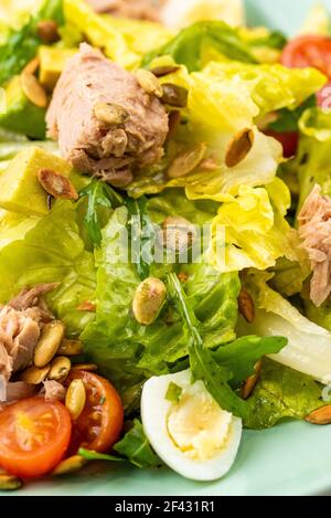 französischer Nicoise-Salat mit Thunfisch Stockfoto