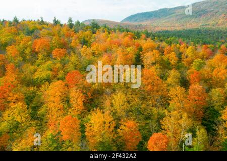 Bunter Herbstwald in Adirondacks von oben Stockfoto
