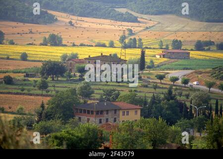 Klassische Bauernhöfe und landwirtschaftliche Landschaft im Valdarno in der Toskana, Italien Stockfoto