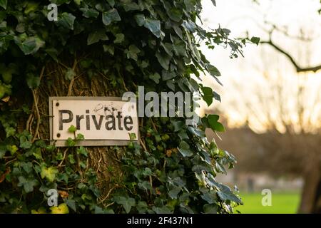 Private Zeichen an einem Baum mit schönen großen grünen gehängt park und Häuser im Hintergrund Stockfoto