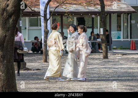 Elegante japanische Frauen tragen helle Kimonos im Yasukini-Schrein, um die Kirschblütensaison in Tokio, Japan, zu feiern Stockfoto