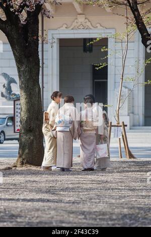 Elegante japanische Weibchen tragen Kimonos am Yasukini-Schrein, um die Kirschblütensaison in Tokio, Japan, zu feiern Stockfoto