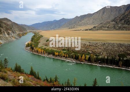 Das Bett des türkisfarbenen Flusses verwandelt sich in ein schmales intermountain-Tal, das in den Farben des Herbstes gemalt ist. Katun, Altai, Sibirien, Russland. Stockfoto