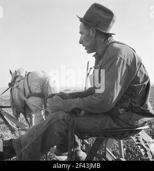 Herr Roberts, FSA (Farm Security Administration) Kreditnehmer. Owyhee-Projekt. Malheur County, Oregon. Oktober 1939. Foto von Dorothea lange. Stockfoto
