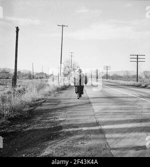 Napa Valley, Kalifornien. Mehr als fünfundzwanzig Jahre ein gestanzter-steif. Spaziergänge von den Bergwerken über die Holzlager bis zu den Farmen. Der Typ, der vor dem Krieg das Rückgrat der Industriearbeiter der Welt (IWW) in Kalifornien bildete. Thema von Carleton Parker's 'Studien zum IWW'. Dezember 1938. Foto von Dorothea lange. Stockfoto