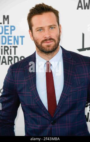 DATEI FOTO - LOS ANGELES, CA - FEBRUAR 23: Armie Hammer bei den Film Independent Spirit Awards 34th am 23. Februar 2019 in Los Angeles, Kalifornien. Foto: ImageSPACE /MediaPunch Stockfoto