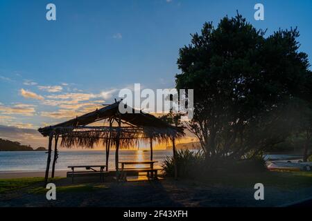 Strohdach Schutz am Mulberry Grove Beach Silhouette gegen goldenen Sonnenuntergang auf Great Barrier, Stockfoto