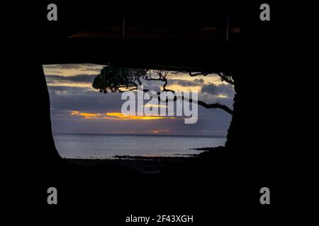 Blick auf den Mulberry Grove Beach bei Sonnenuntergang am Tryphena Hafen auf Great Barrier Neuseeland. Durch Silhouette Öffnung Stockfoto