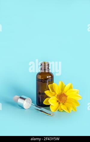 Ätherisches Öl in offener brauner Tropfflasche mit liegender Glaspipette und gelber Blume auf blauem Hintergrund. Konzept natürliche organische Kosmetik pro Stockfoto