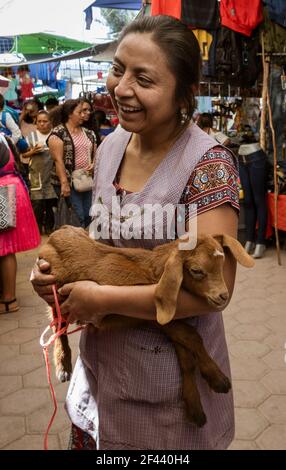 Oaxaca, Mexiko - 2019-11-30 - junge Frau hält Baby Bock zum Verkauf am Markt. Stockfoto