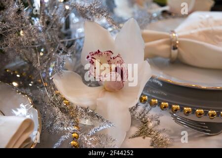 Weiße Cymbidium Orchidee in der Tabelle Einstellung vor Hochzeit. Schönes festliches Geschirr, Servietten mit dekorativen Ringen Stockfoto