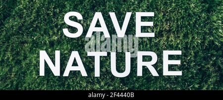 Inschrift Speichern Natur auf Moos, grünes Gras Hintergrund. Draufsicht. Speicherplatz kopieren. Banner. Biophilie-Konzept. Naturkulisse Stockfoto