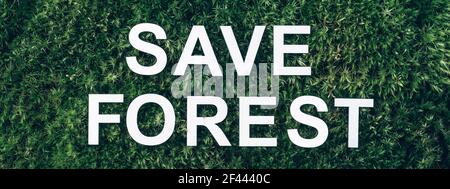 Inschrift Speichern Wald auf Moos, grünes Gras Hintergrund. Draufsicht. Speicherplatz kopieren. Banner. Biophilie-Konzept Stockfoto