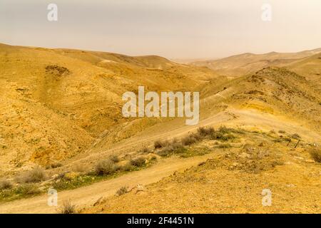 Sonnenuntergangsansicht der Judaeischen Wüstenlandschaft, nahe Arad, Süd-Israel Stockfoto