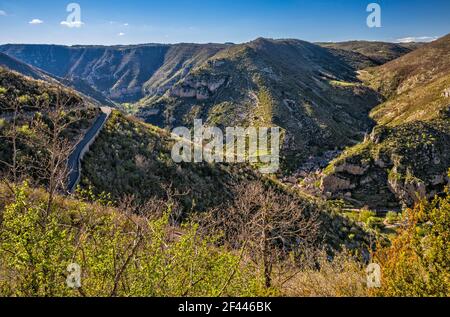 Gorges du Tarn, Blick von der Straße D43, in der Nähe von Dorf La Malene, Fluss Tarn, am späten Abend, Gemeinde im Département Lozere, Region Okzitanien, Frankreich Stockfoto