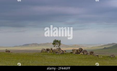 Steinformationen bei Orchon und Jargalant in der Mongolei mit Baum in der Steppe bei Sonnenuntergang am Abend. Stockfoto