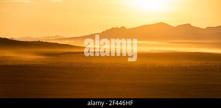 Goldgelber Sonnenuntergang auf der Steppe der Mongolei mit Ziegenherde und Bergen im Hintergrund. Stockfoto