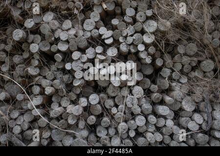 Jute-Stapel. Jute Stick. Jute ist auf diese Weise im Dorf angeordnet. Das Arrangement hat eine schöne Textur geschaffen. Stockfoto