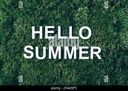 Inschrift Hallo Sommer auf Moos, grünes Gras Hintergrund. Draufsicht. Speicherplatz kopieren. Banner. Biophilie-Konzept. Naturkulisse Stockfoto