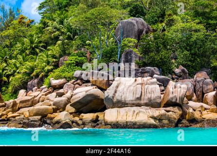 Geographie / Reisen, Seychellen, Praslin, Anse Georgette, beac, Additional-Rights-Clearance-Info-Not-Available Stockfoto