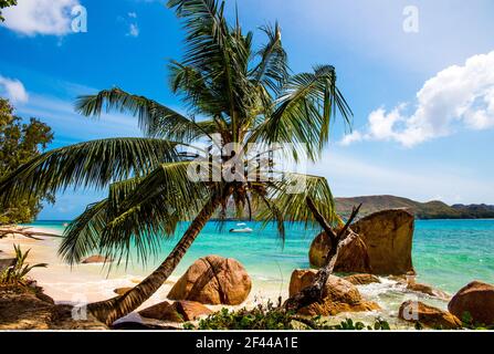 Geographie / Reisen, Seychellen, Praslin, Anse Lazio, Strand mit Granitfelsen, Zusatz-Rights-Clearance-Info-Not-available Stockfoto