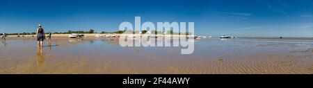 Panorama von Menschen auf der Suche nach Krebstieren bei Ebbe in Les Portes-en-Ré auf der Insel ile de re in Frankreich und einigen Booten, die auf dem Sand liegen. Stockfoto