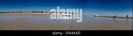 Panorama von Menschen auf der Suche nach Krebstieren bei Ebbe in Les Portes-en-Ré auf der Insel ile de re in Frankreich und einigen Booten, die auf dem Sand liegen. Stockfoto