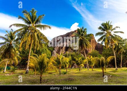 Geographie / Reisen, Seychellen, La Digue, L'Union Estate, Granitmonolith, Additional-Rights-Clearance-Info-Not-Available Stockfoto