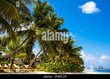 Geographie / Reisen, Seychellen, La Digue, Anse La Reunion, Palmenstrand, Additional-Rights-Clearance-Info-not-available Stockfoto